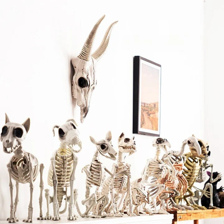 7 Spooky Halloween Decor Ideas to Transform Your Home This Season