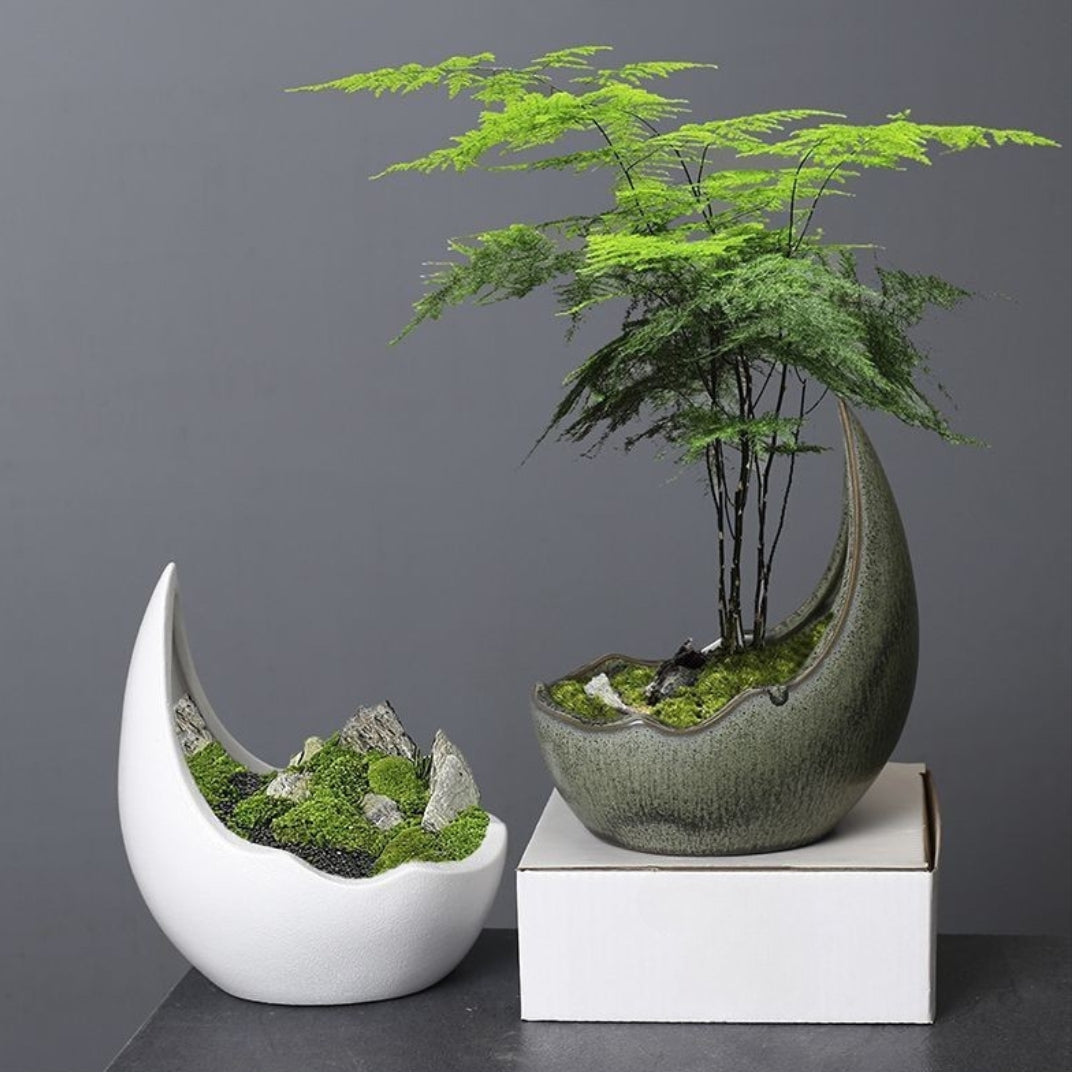 Crescent Moon Ceramic Pot Succulent Planter 