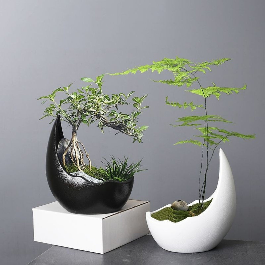 Crescent Moon Ceramic Pot Succulent Planter 
