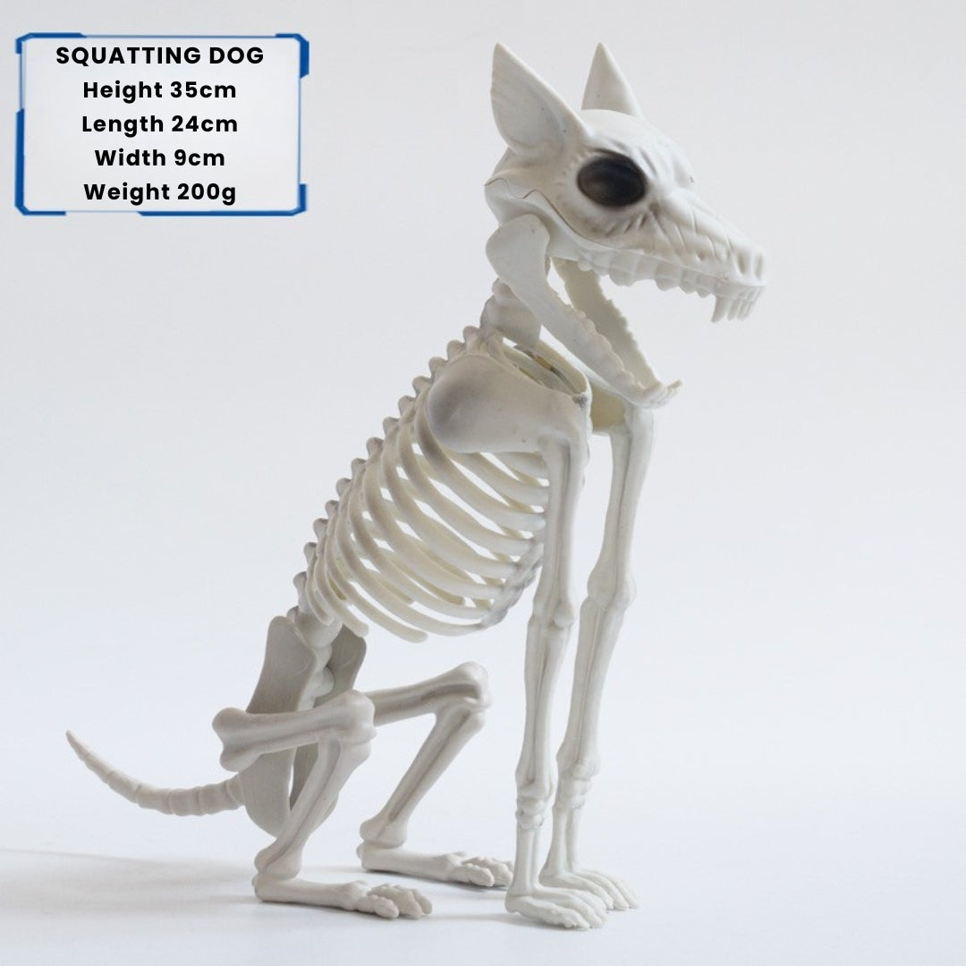 Dog skeleton model on a white background with dimensions displayed.
