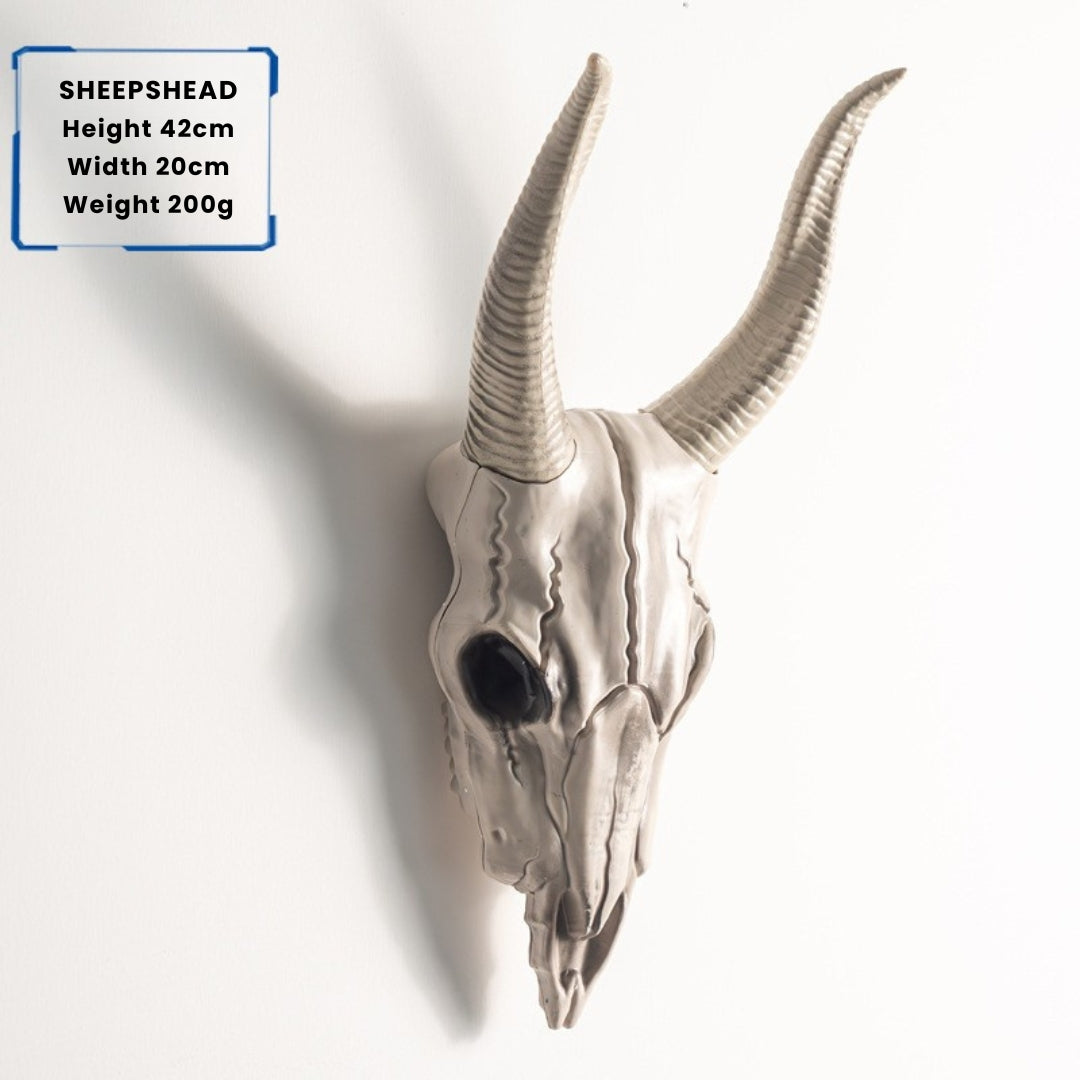 Sheep skull wall decoration with horns on a white background