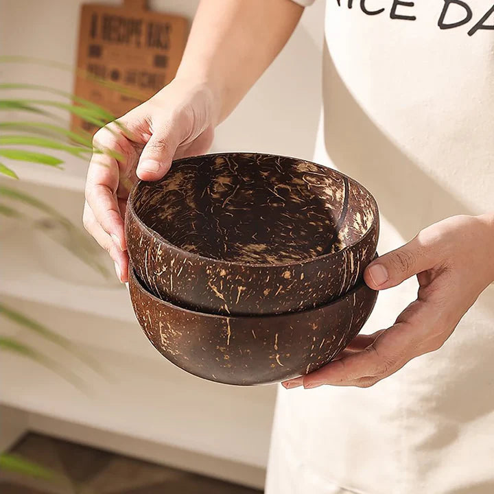 Natural Coconut Shell Bowl And Spoon Set