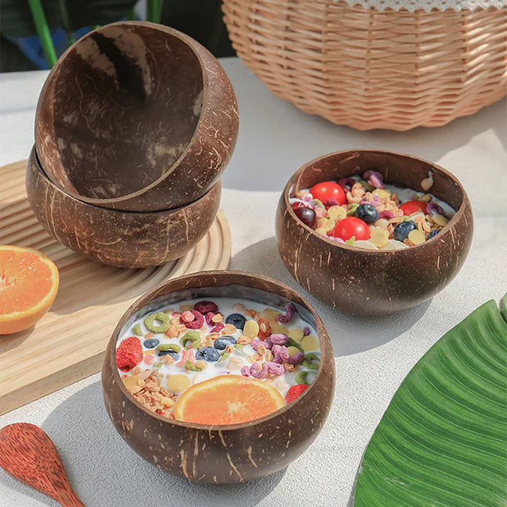 Natural Coconut Shell Bowl And Spoon Set