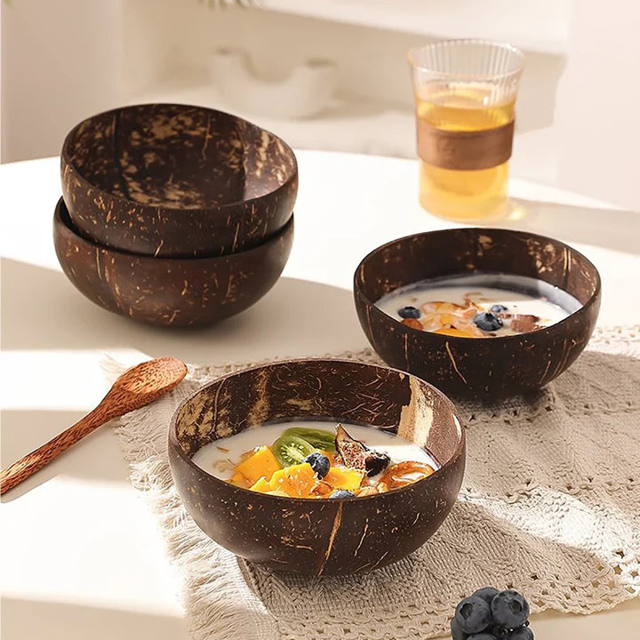 Natural Coconut Shell Bowl And Spoon Set