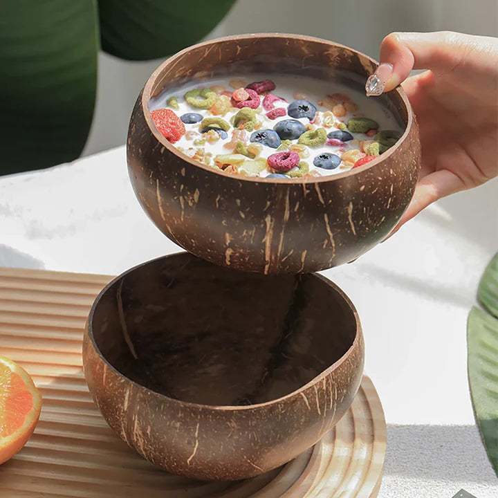 Natural Coconut Shell Bowl And Spoon Set