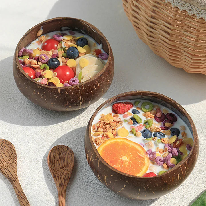 Natural Coconut Shell Bowl And Spoon Set
